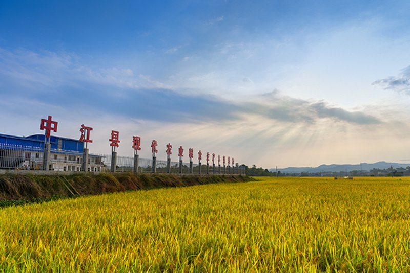 中江网招聘网最新招聘实战攻略